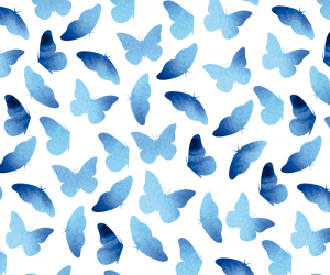 Niebieskie Motyle